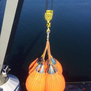 67645353_2340616706037196_7676293029782618112_n